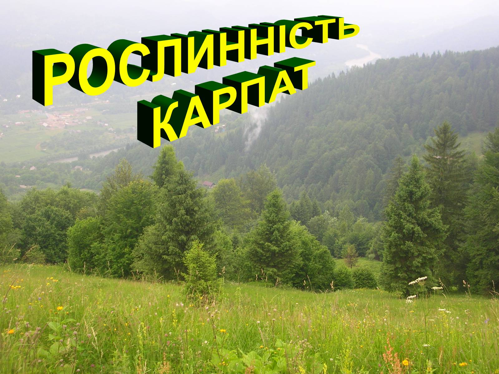 Презентація на тему «Українські Карпати» (варіант 1) - Слайд #16 Презентація на тему «Українські Карпати» (варіант 1) - Слайд #16