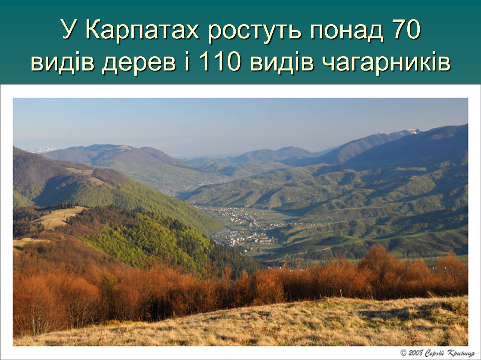 Презентація на тему «Українські Карпати» (варіант 1) - Слайд #18 Презентація на тему «Українські Карпати» (варіант 1) - Слайд #18