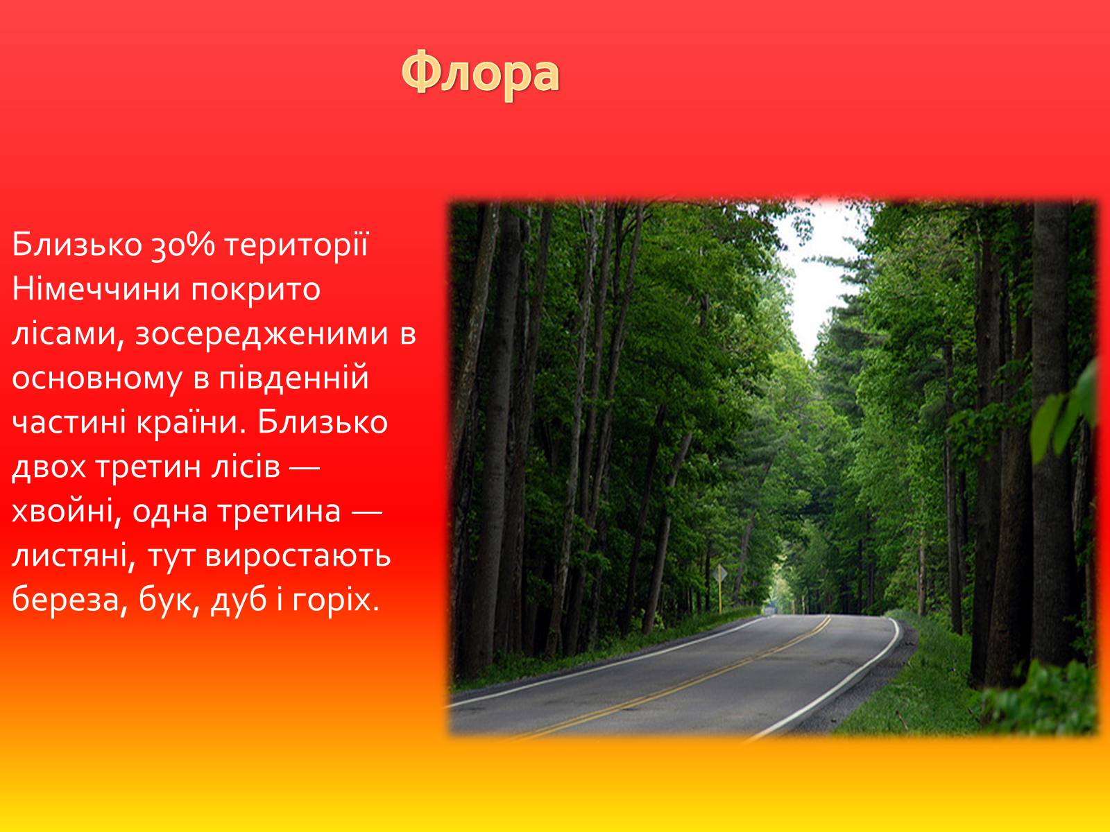 Презентація на тему «Федеральна Республіка Німеччина» (варіант 1) - Слайд #6 Презентація на тему «Федеральна Республіка Німеччина» (варіант 1) - Слайд #6