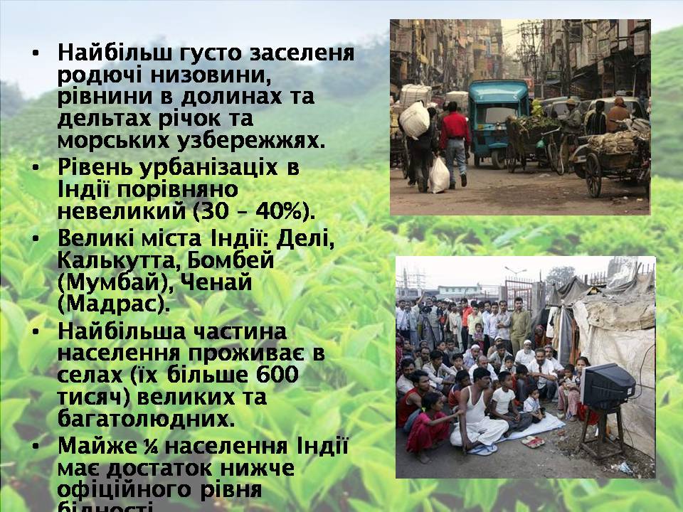 Презентація на тему «Індія» (варіант 25) - Слайд #10 Презентація на тему «Індія» (варіант 25) - Слайд #10