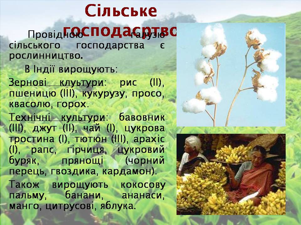 Презентація на тему «Індія» (варіант 25) - Слайд #15 Презентація на тему «Індія» (варіант 25) - Слайд #15