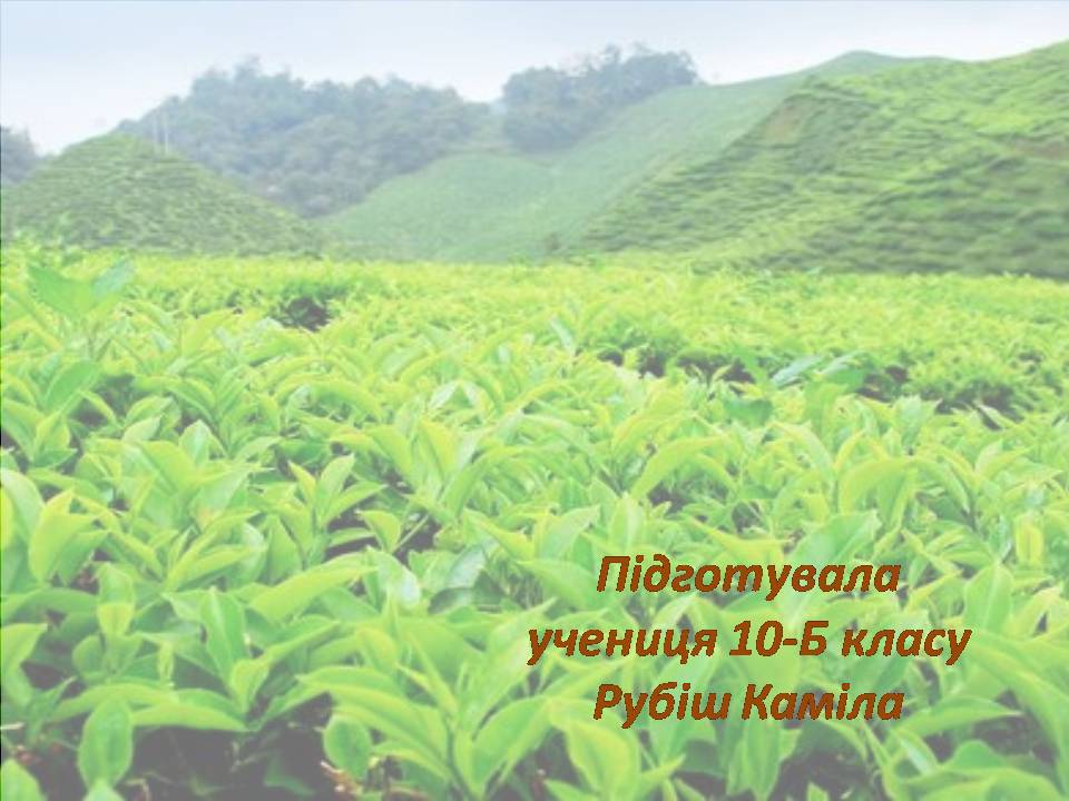Презентація на тему «Індія» (варіант 25) - Слайд #19 Презентація на тему «Індія» (варіант 25) - Слайд #19
