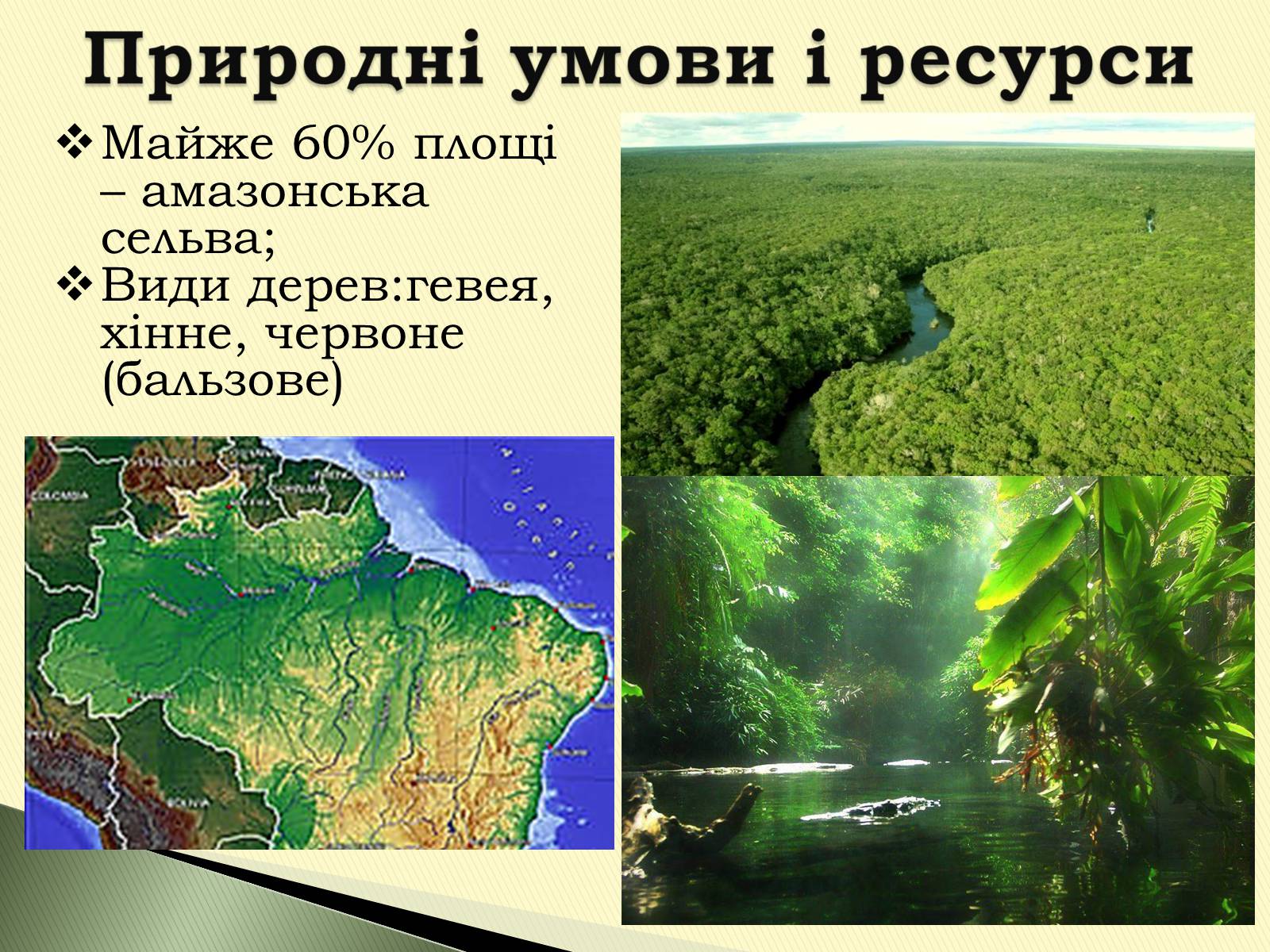 Презентація на тему «Федеративна Республіка Бразилія» - Слайд #8 Презентація на тему «Федеративна Республіка Бразилія» - Слайд #8