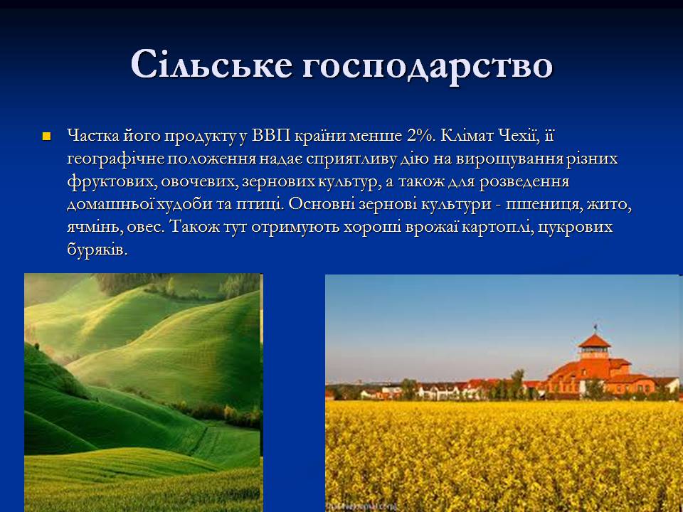 Презентація на тему «Чеська республіка» (варіант 2) - Слайд #10 Презентація на тему «Чеська республіка» (варіант 2) - Слайд #10