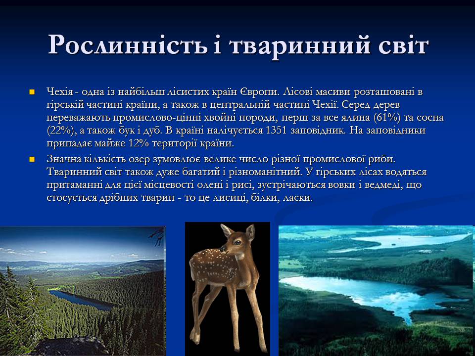Презентація на тему «Чеська республіка» (варіант 2) - Слайд #9 Презентація на тему «Чеська республіка» (варіант 2) - Слайд #9