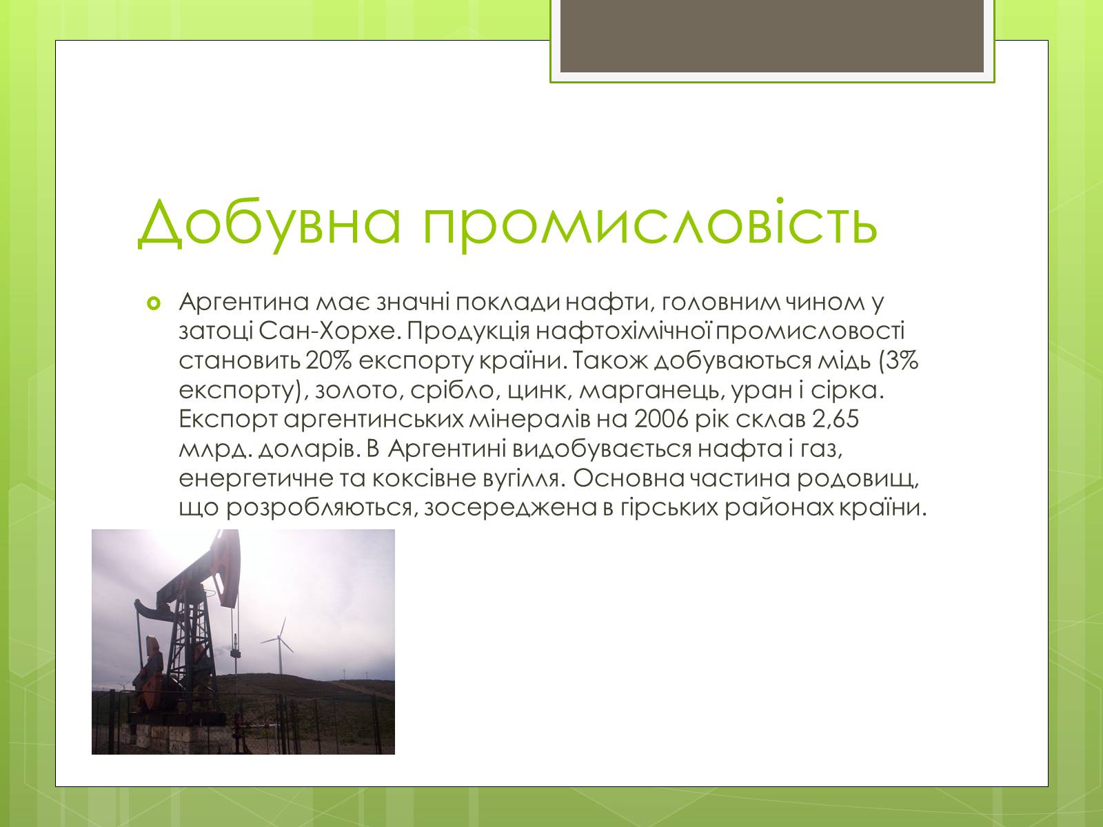 Презентація на тему «Агрентина» - Слайд #7 Презентація на тему «Агрентина» - Слайд #7