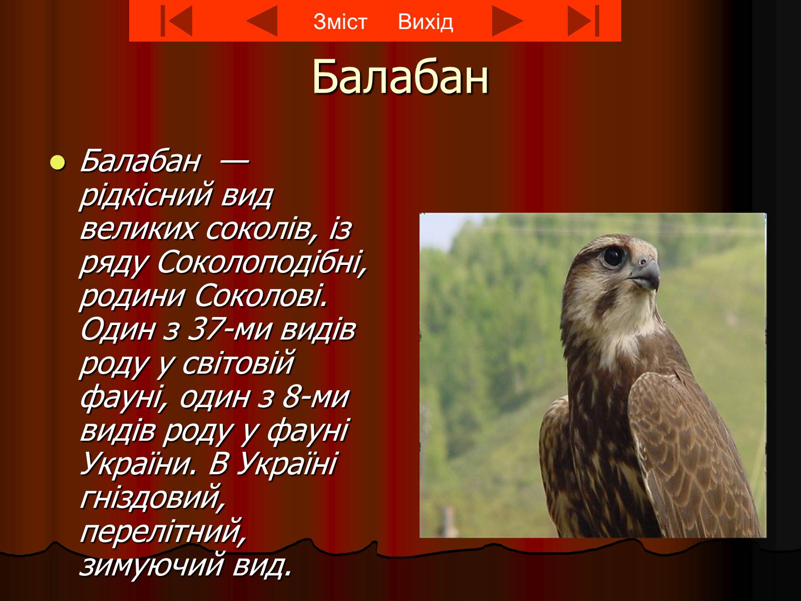 Презентація на тему «Червона книга України» (варіант 8) - Слайд #3