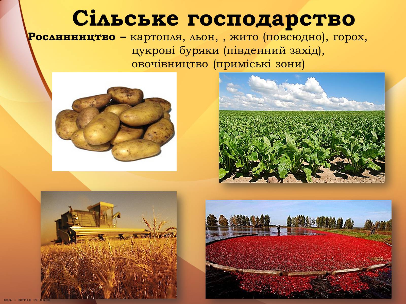 Презентація на тему «Республіка Білорусь» (варіант 2) - Слайд #24 Презентація на тему «Республіка Білорусь» (варіант 2) - Слайд #24