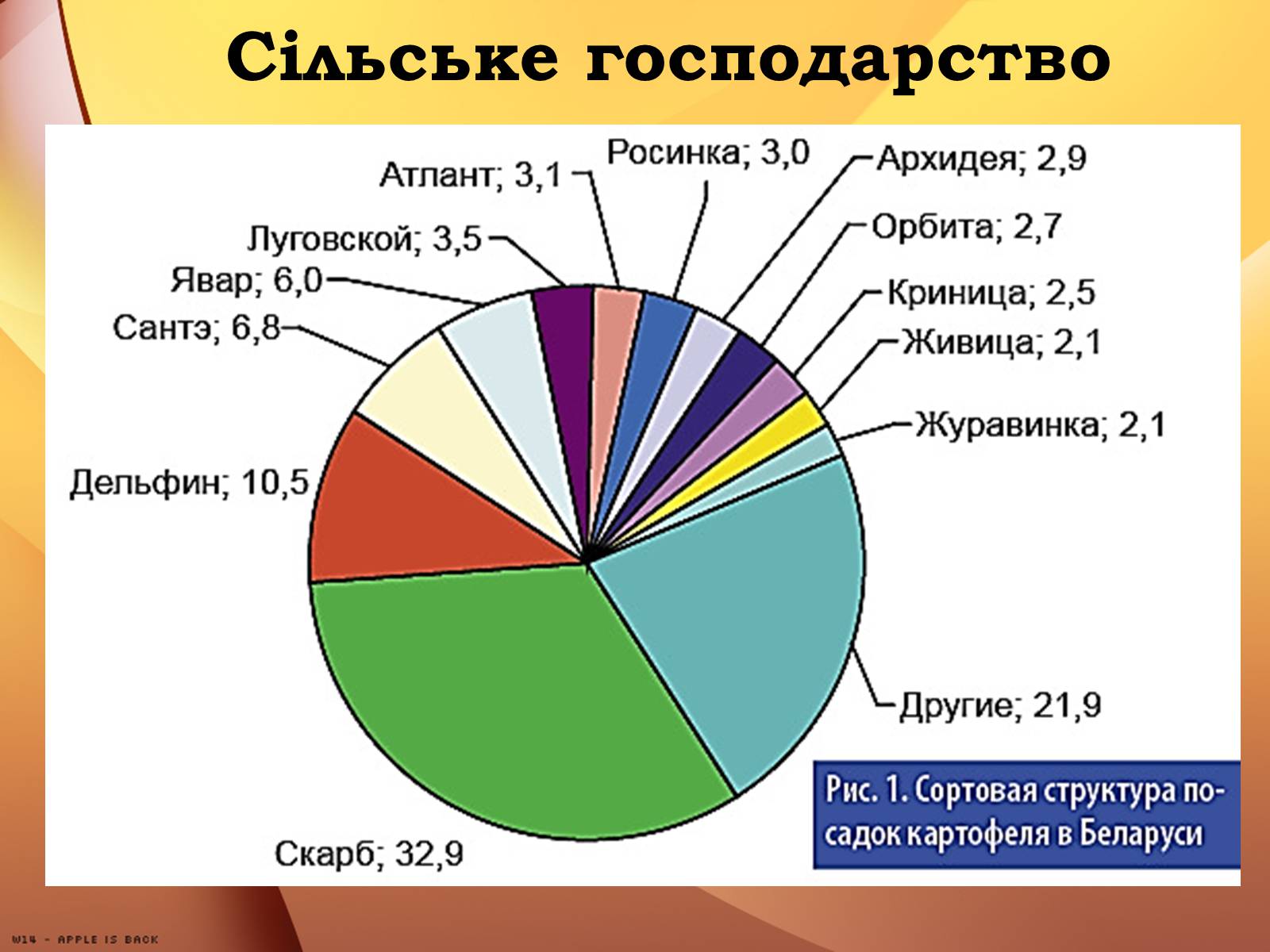 Презентація на тему «Республіка Білорусь» (варіант 2) - Слайд #25 Презентація на тему «Республіка Білорусь» (варіант 2) - Слайд #25