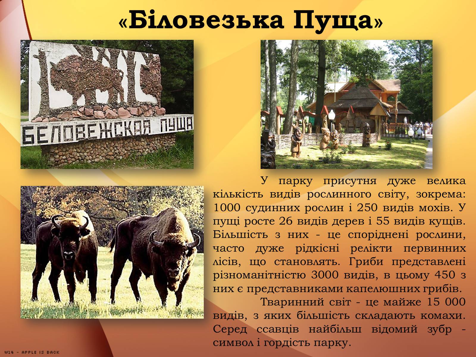 Презентація на тему «Республіка Білорусь» (варіант 2) - Слайд #29 Презентація на тему «Республіка Білорусь» (варіант 2) - Слайд #29