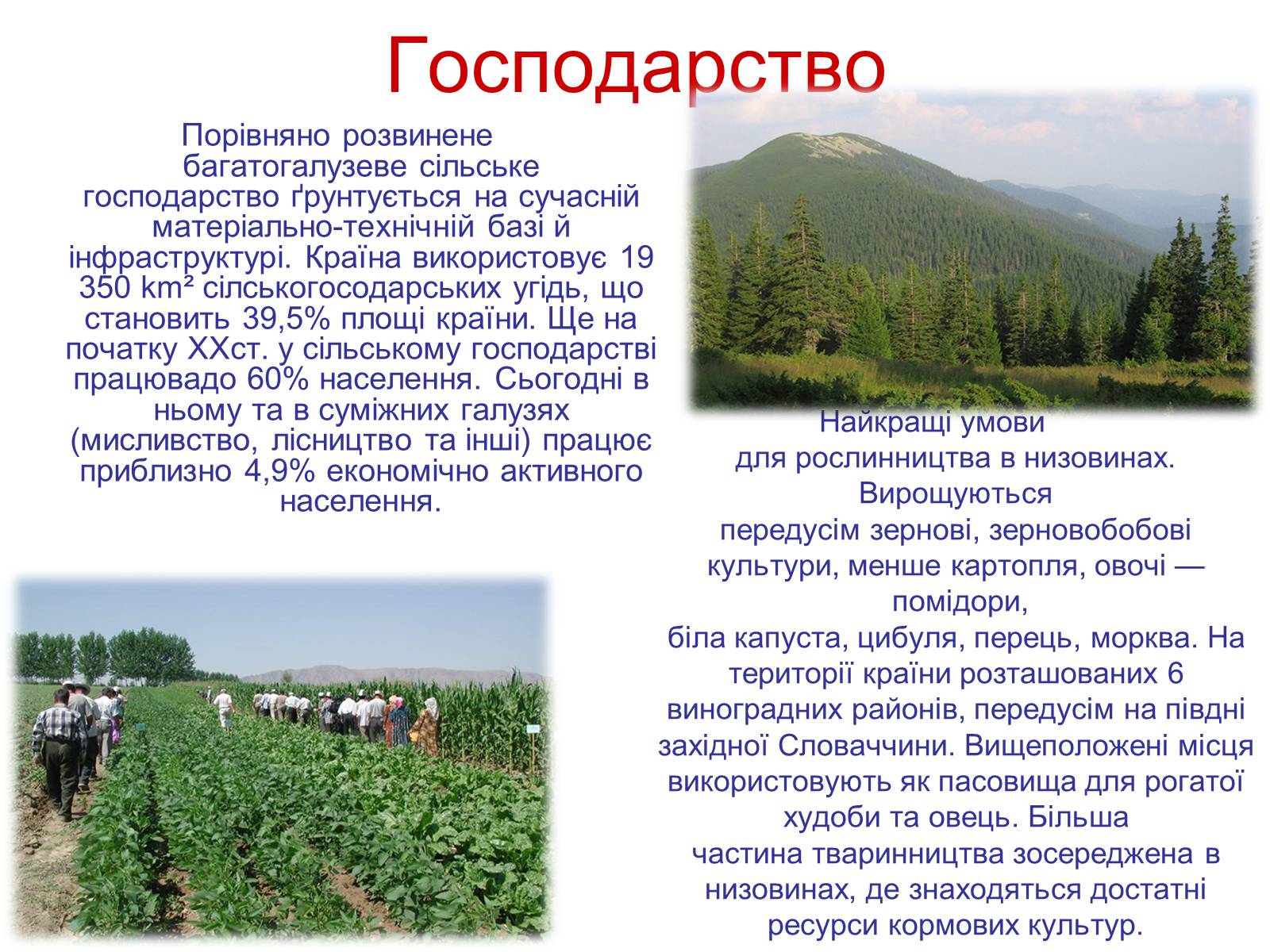 Презентація на тему «Республіка Словаччина» (варіант 8) - Слайд #6 Презентація на тему «Республіка Словаччина» (варіант 8) - Слайд #6