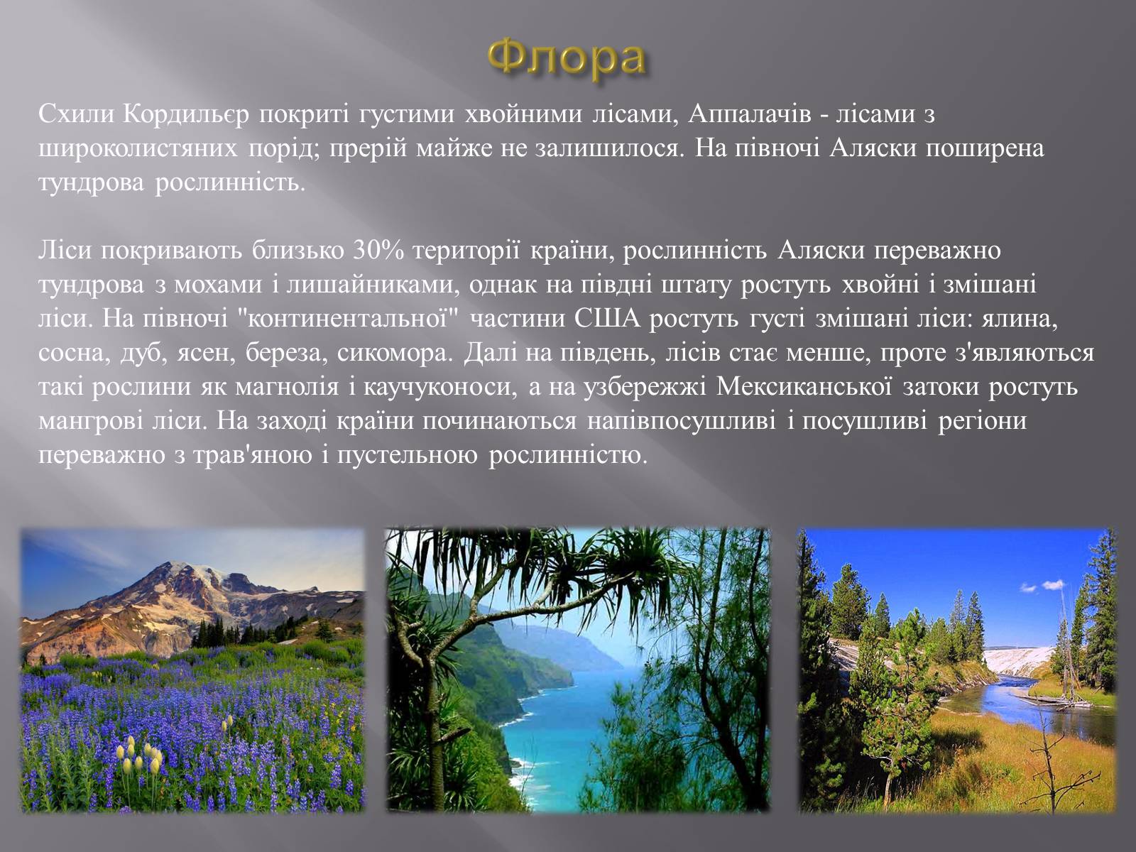 Презентація на тему «Сполучені Штати Америки» (варіант 4) - Слайд #5 Презентація на тему «Сполучені Штати Америки» (варіант 4) - Слайд #5