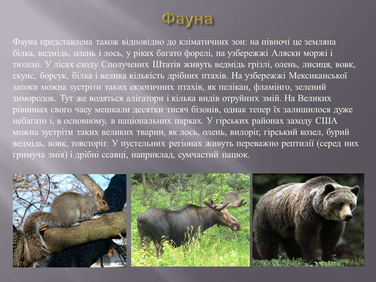 Презентація на тему «Сполучені Штати Америки» (варіант 4) - Слайд #6 Презентація на тему «Сполучені Штати Америки» (варіант 4) - Слайд #6
