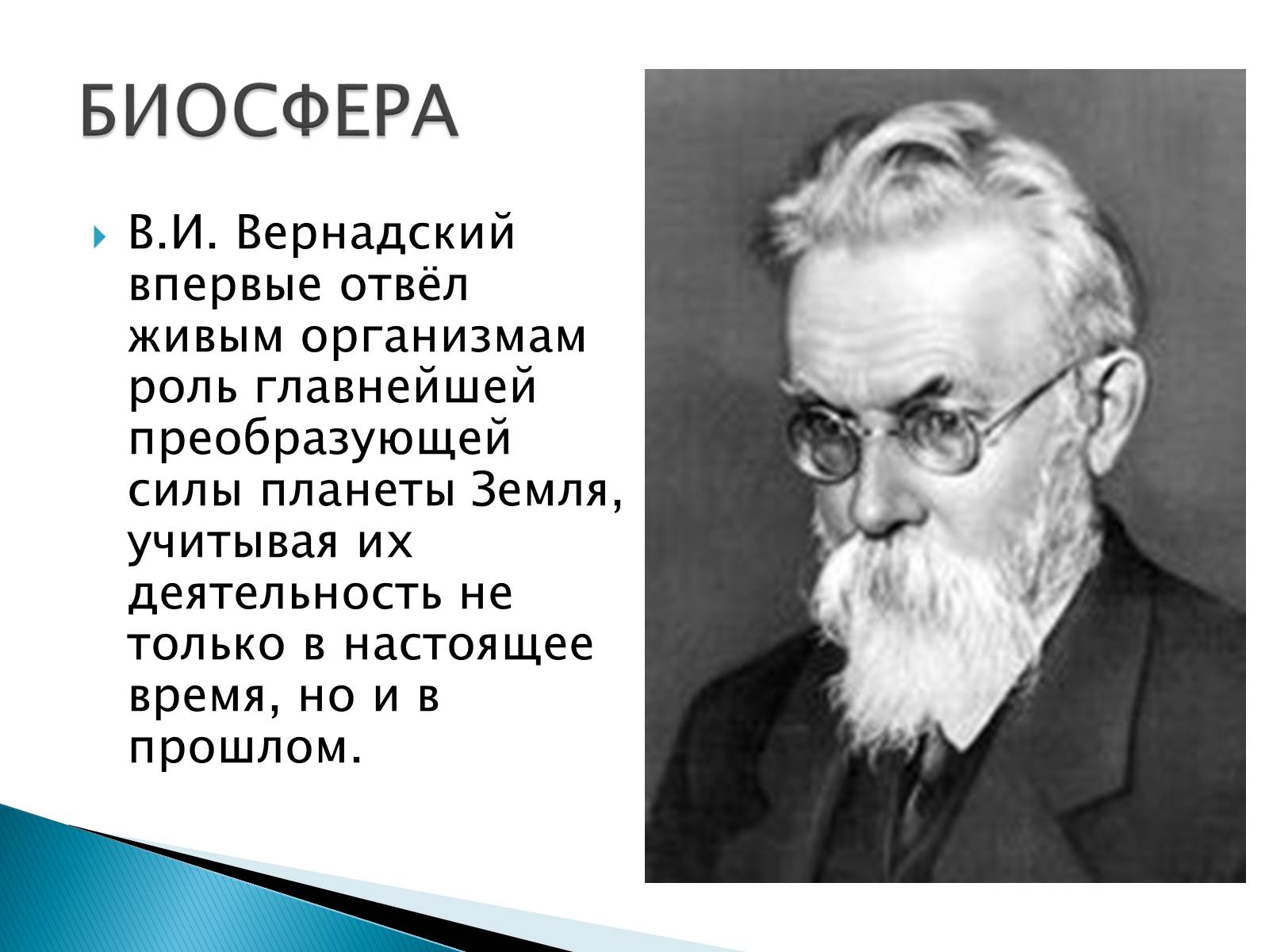 Презентація на тему «Структура биосферы» (варіант 2) - Слайд #3 Презентація на тему «Структура биосферы» (варіант 2) - Слайд #3