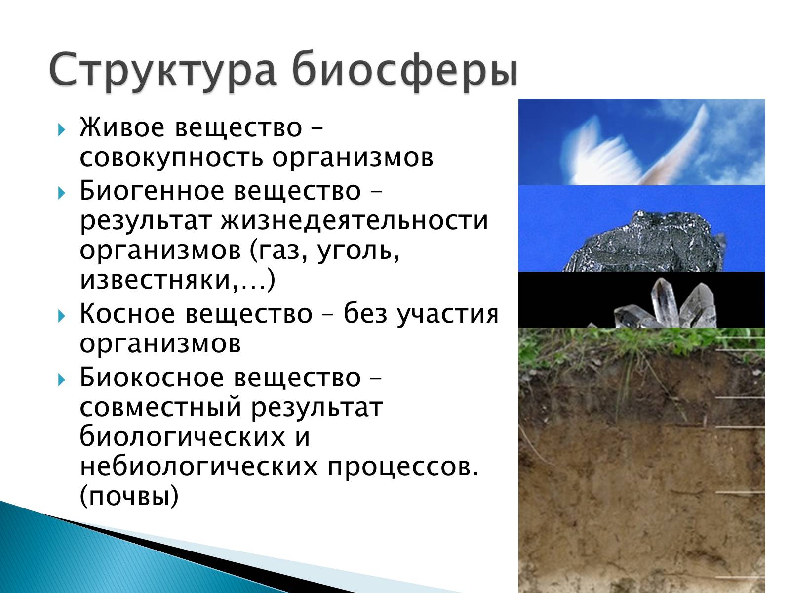 Презентація на тему «Структура биосферы» (варіант 2) - Слайд #5 Презентація на тему «Структура биосферы» (варіант 2) - Слайд #5