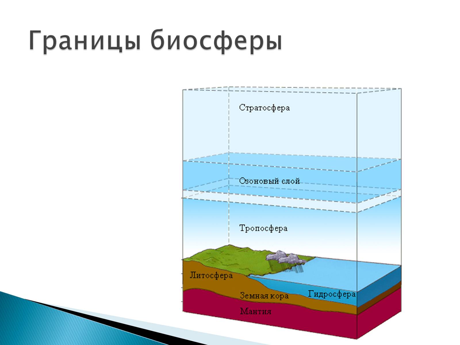 Презентація на тему «Структура биосферы» (варіант 2) - Слайд #7 Презентація на тему «Структура биосферы» (варіант 2) - Слайд #7