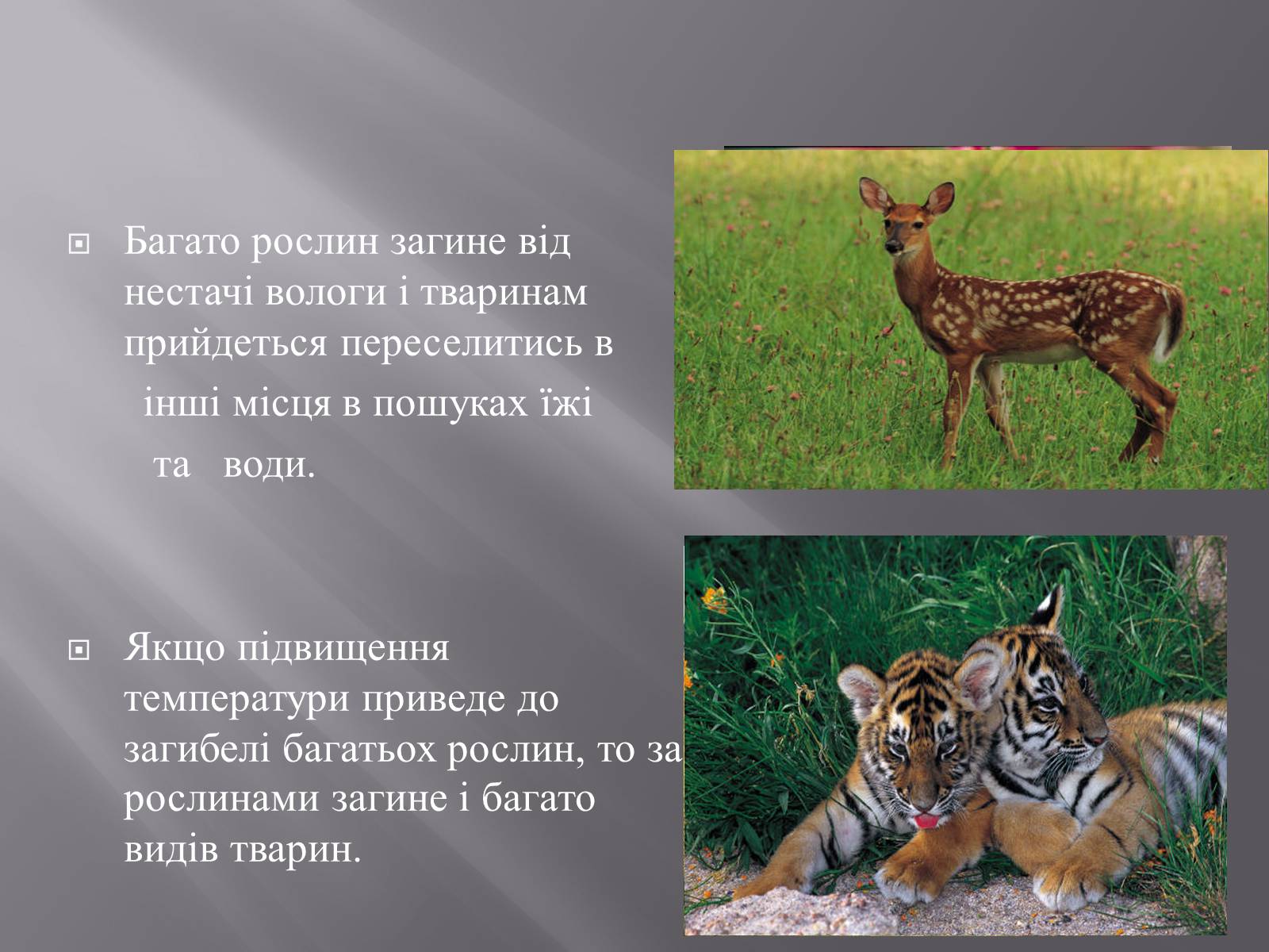 Презентація на тему «Парниковий ефект» (варіант 11) - Слайд #8 Презентація на тему «Парниковий ефект» (варіант 11) - Слайд #8