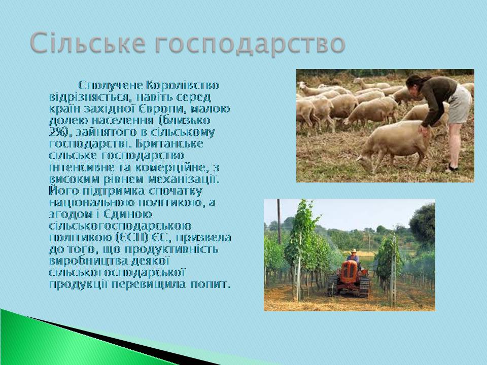 Презентація на тему «Велика Британія» (варіант 30) - Слайд #10 Презентація на тему «Велика Британія» (варіант 30) - Слайд #10