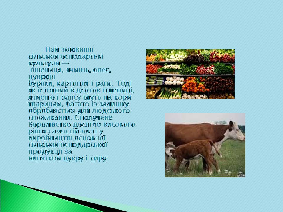Презентація на тему «Велика Британія» (варіант 30) - Слайд #11 Презентація на тему «Велика Британія» (варіант 30) - Слайд #11