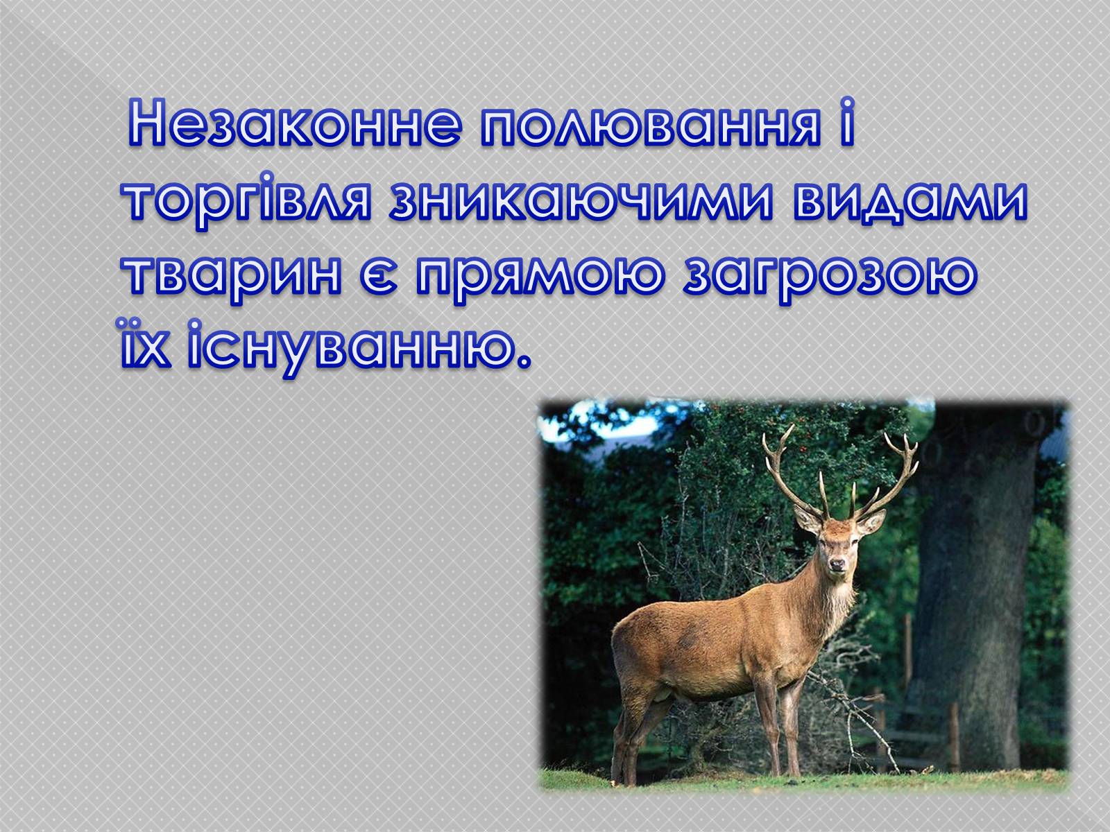 Презентація на тему «Надмірна експлуатація природніх ресурсів» - Слайд #8 Презентація на тему «Надмірна експлуатація природніх ресурсів» - Слайд #8