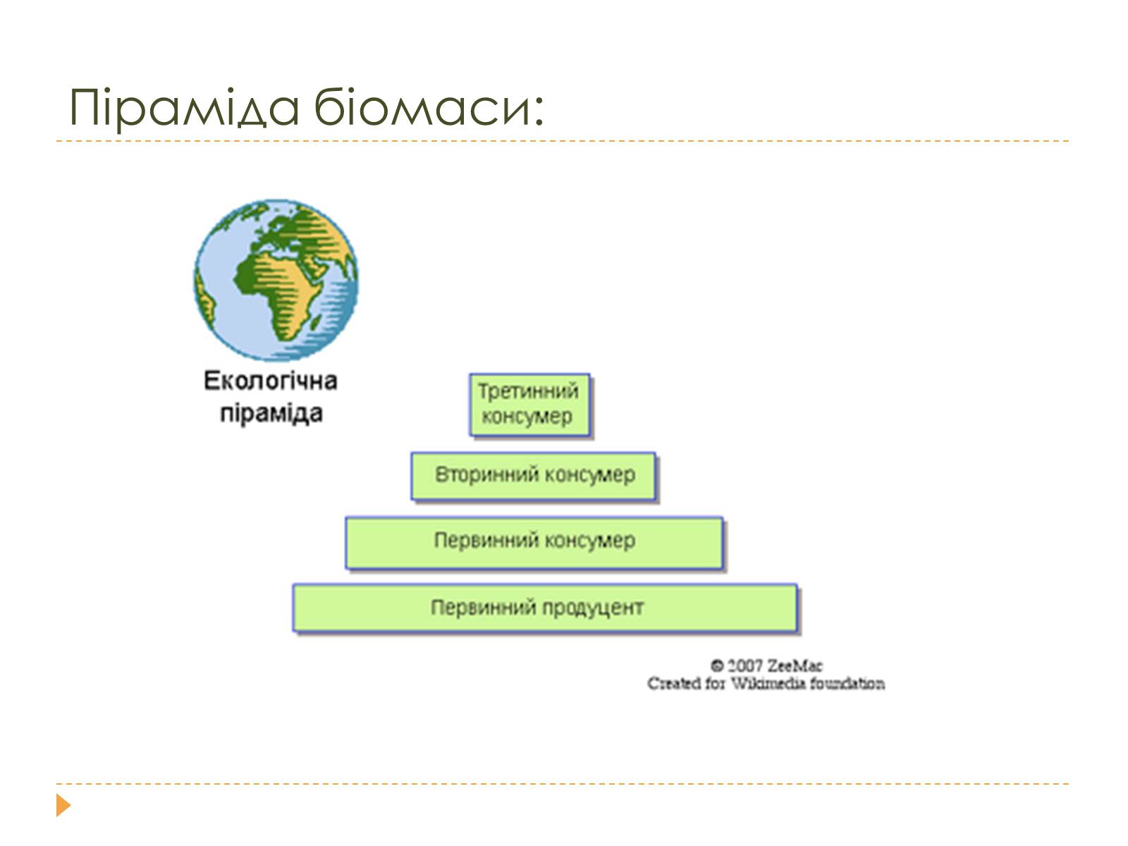 Презентація на тему «Розміри та склад екосистем» - Слайд #12 Презентація на тему «Розміри та склад екосистем» - Слайд #12