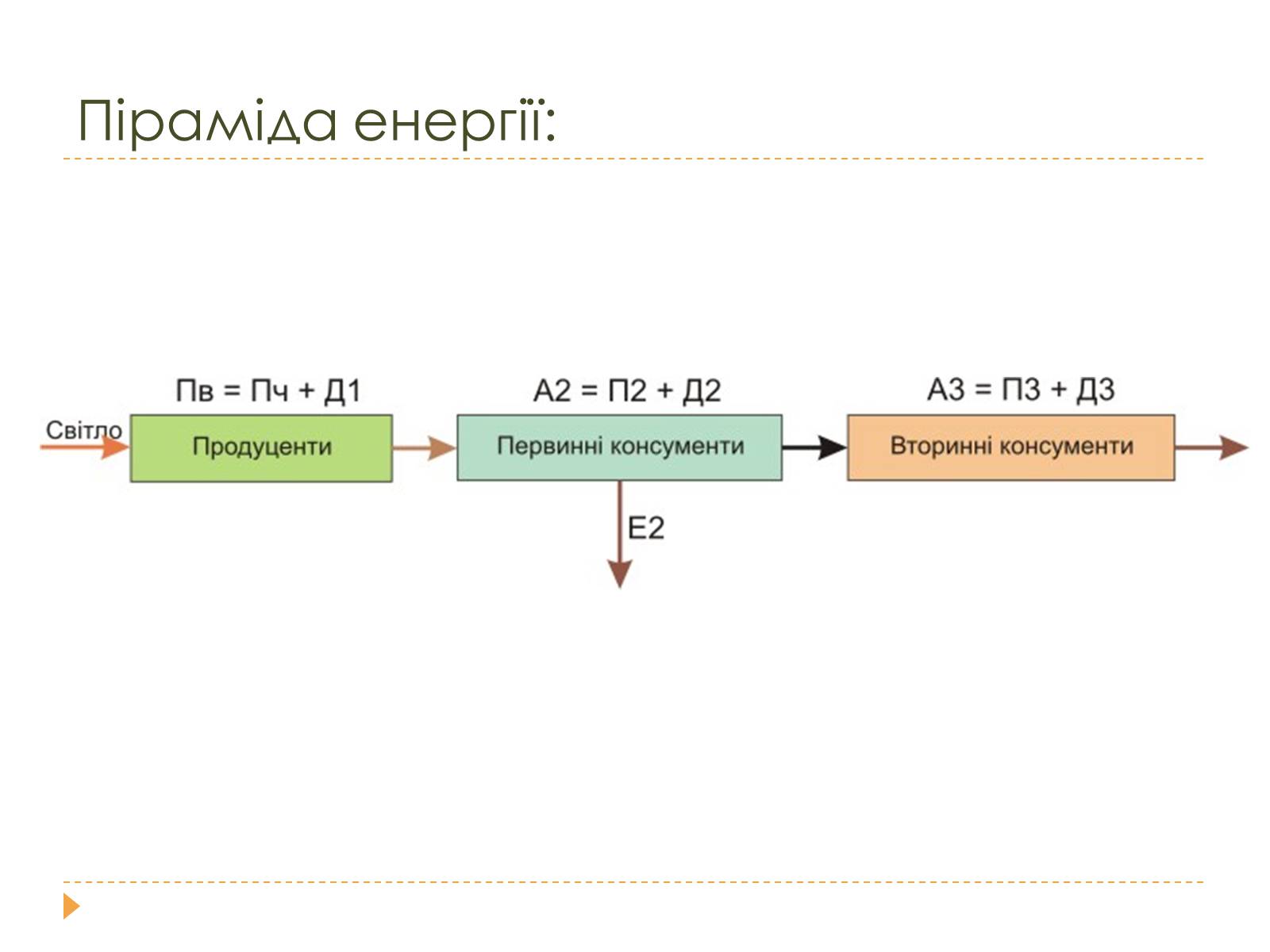 Презентація на тему «Розміри та склад екосистем» - Слайд #14 Презентація на тему «Розміри та склад екосистем» - Слайд #14