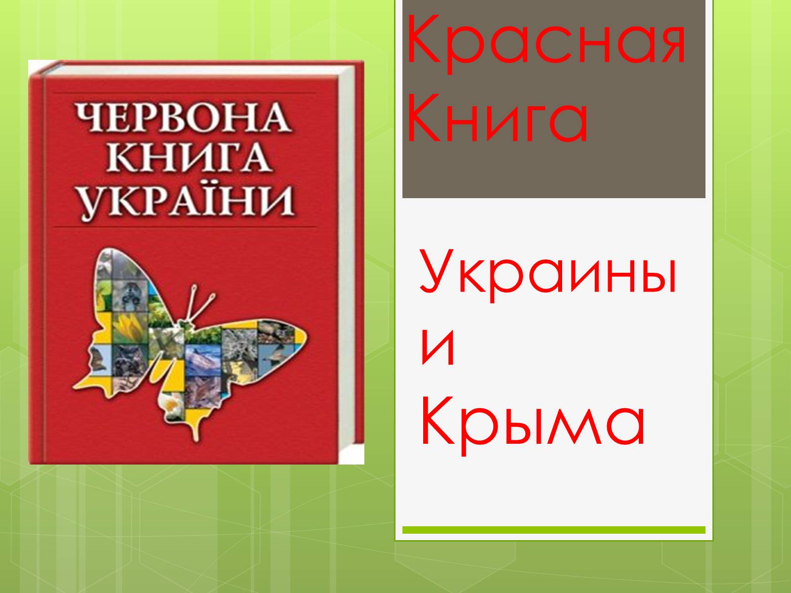 Презентація на тему «Красная Книга» - Слайд #1 Презентація на тему «Красная Книга» - Слайд #1