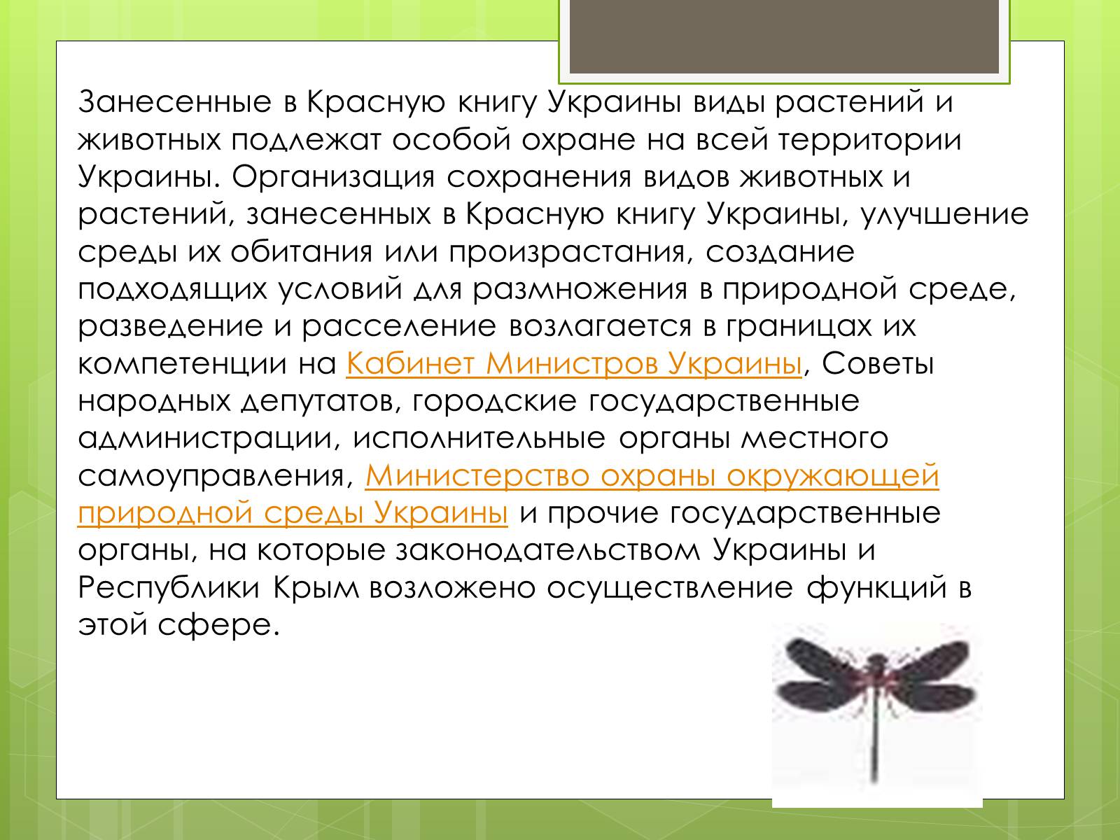 Презентація на тему «Красная Книга» - Слайд #3 Презентація на тему «Красная Книга» - Слайд #3