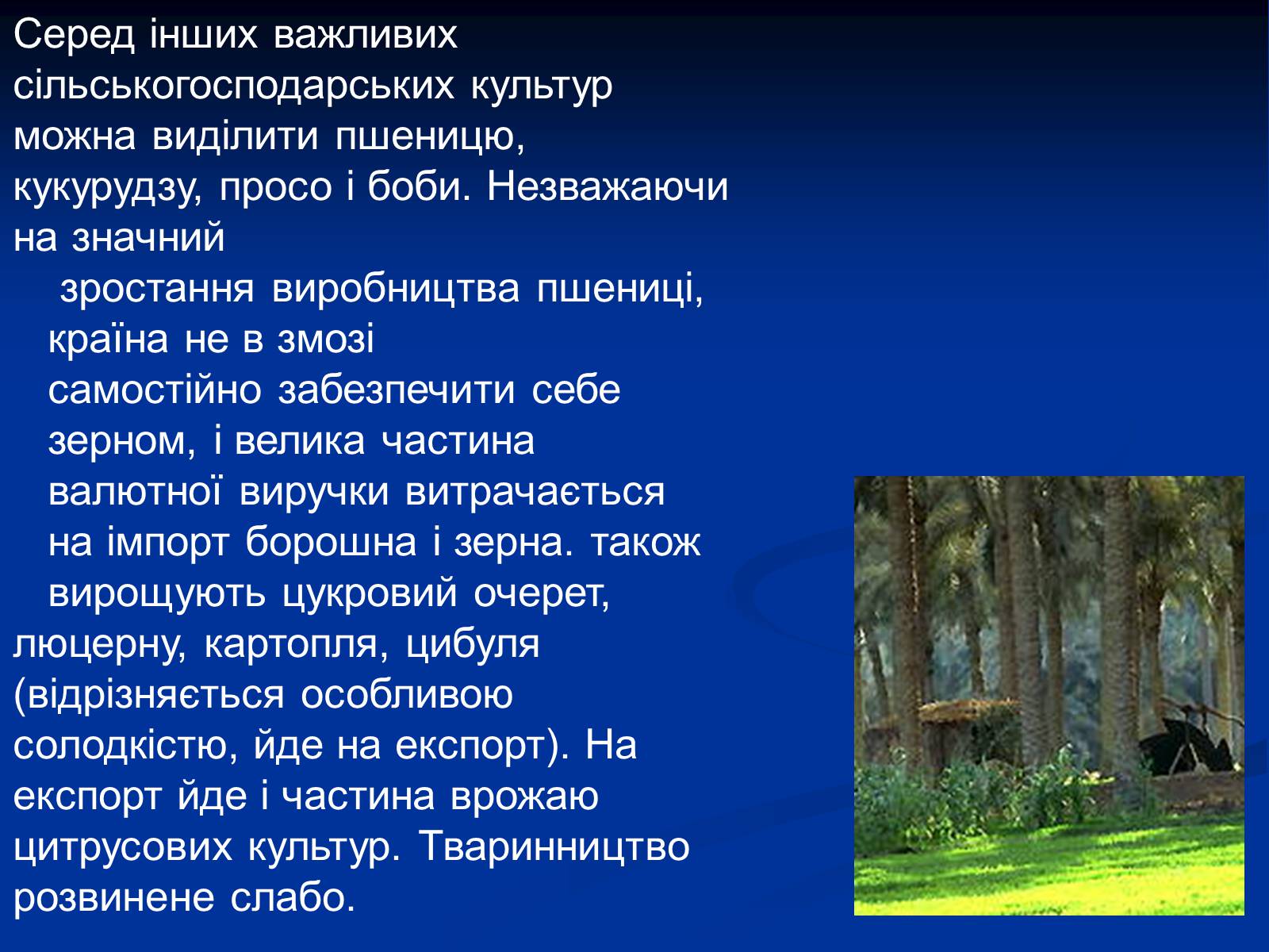 Презентація на тему «Єгипет» (варіант 4) - Слайд #10 Презентація на тему «Єгипет» (варіант 4) - Слайд #10