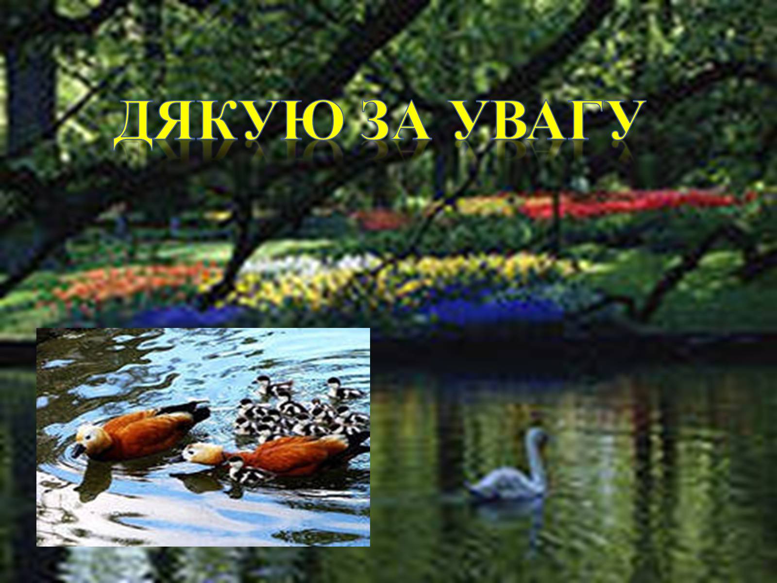 Презентація на тему «Асканія Нова» (варіант 6) - Слайд #11 Презентація на тему «Асканія Нова» (варіант 6) - Слайд #11