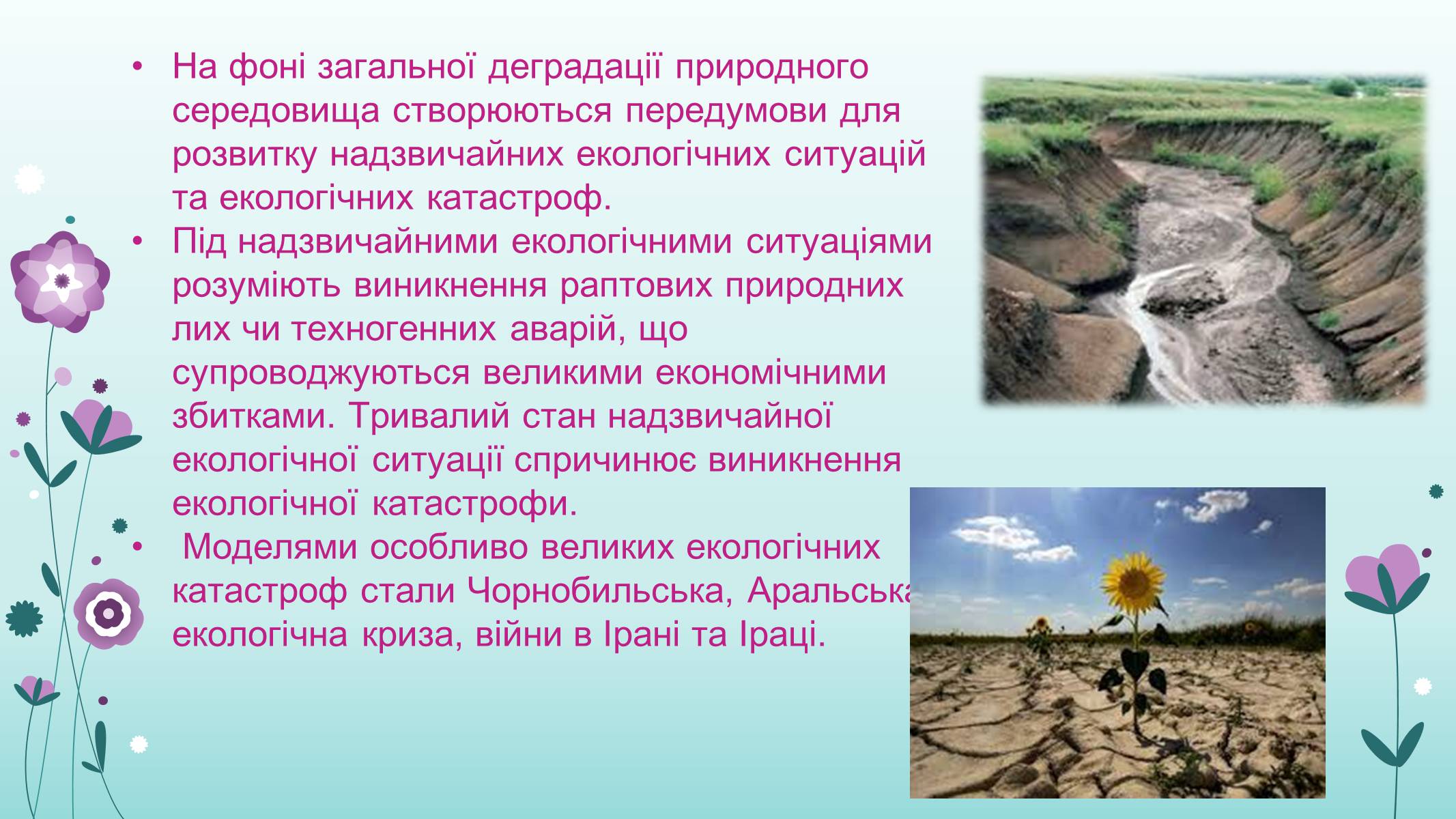 Презентація на тему «Проблема деградації природи» (варіант 2) - Слайд #5 Презентація на тему «Проблема деградації природи» (варіант 2) - Слайд #5