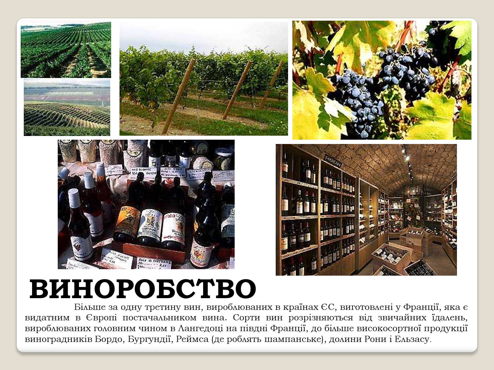 Презентація на тему «Франція» (варіант 11) - Слайд #12 Презентація на тему «Франція» (варіант 11) - Слайд #12