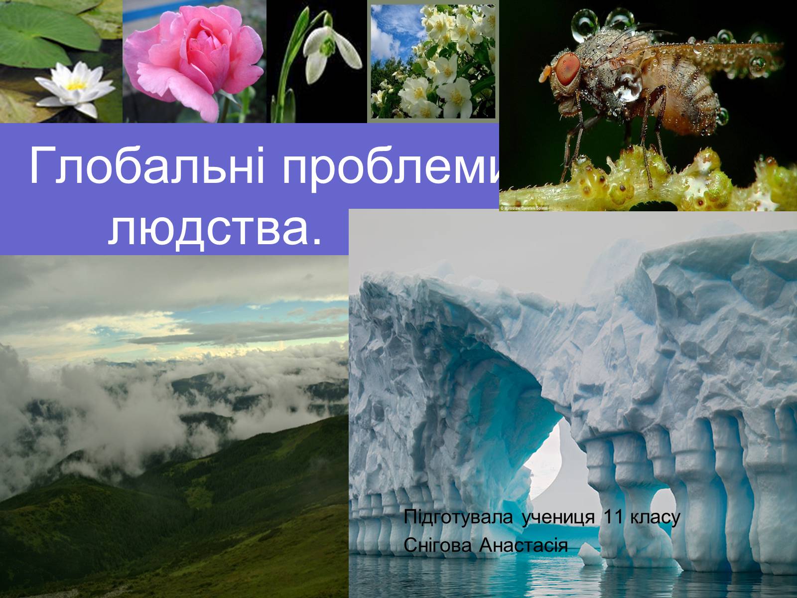 Презентація на тему «Особливості глобальних проблем» - Слайд #1 Презентація на тему «Особливості глобальних проблем» - Слайд #1