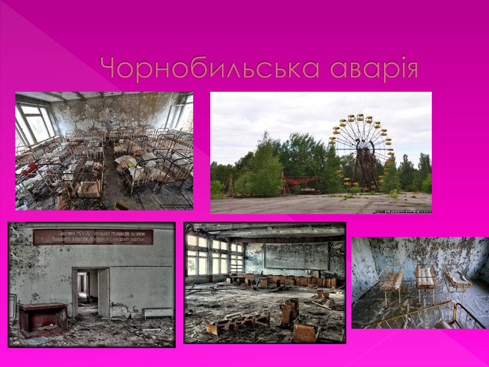 Презентація на тему «Екологічні проблеми» (варіант 7) - Слайд #14 Презентація на тему «Екологічні проблеми» (варіант 7) - Слайд #14