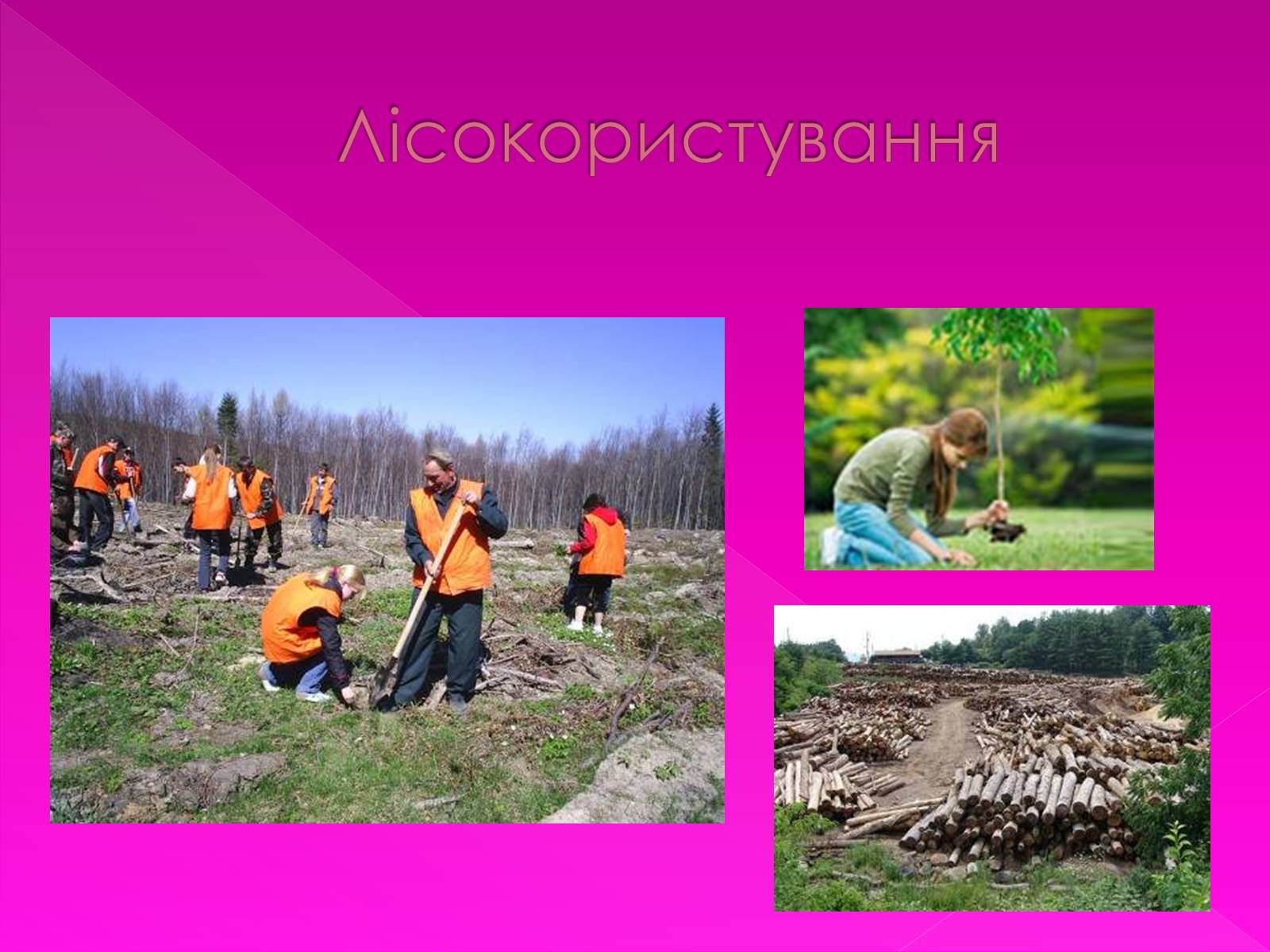 Презентація на тему «Екологічні проблеми» (варіант 7) - Слайд #29 Презентація на тему «Екологічні проблеми» (варіант 7) - Слайд #29