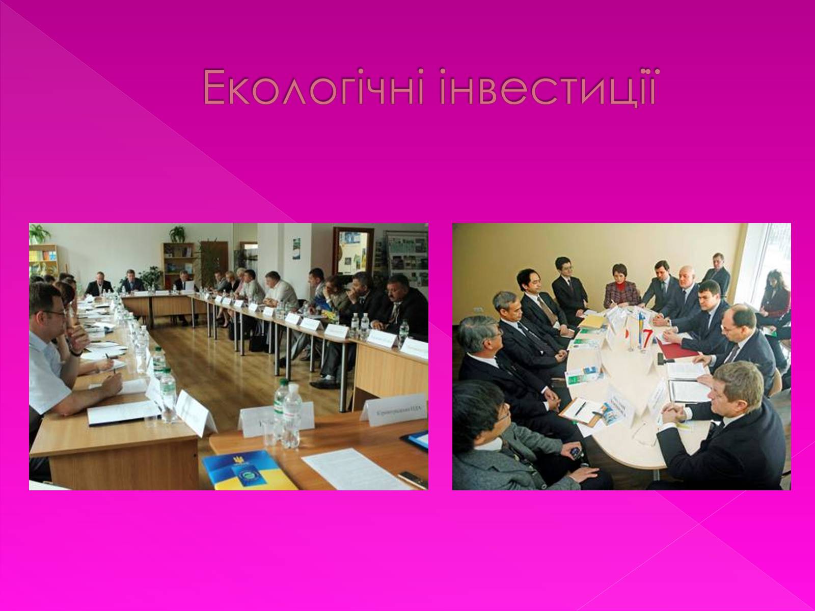 Презентація на тему «Екологічні проблеми» (варіант 7) - Слайд #31 Презентація на тему «Екологічні проблеми» (варіант 7) - Слайд #31