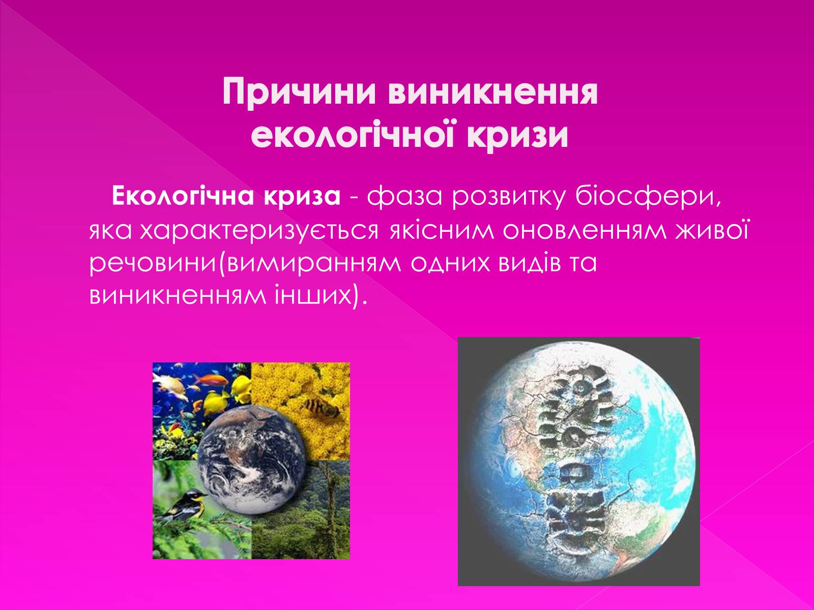 Презентація на тему «Екологічні проблеми» (варіант 7) - Слайд #9 Презентація на тему «Екологічні проблеми» (варіант 7) - Слайд #9