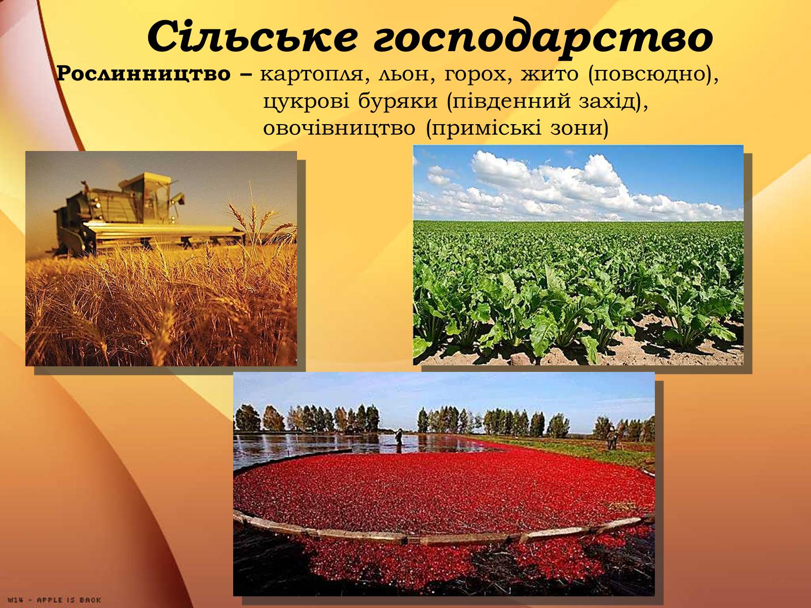 Презентація на тему «Республіка Білорусь» (варіант 3) - Слайд #20 Презентація на тему «Республіка Білорусь» (варіант 3) - Слайд #20