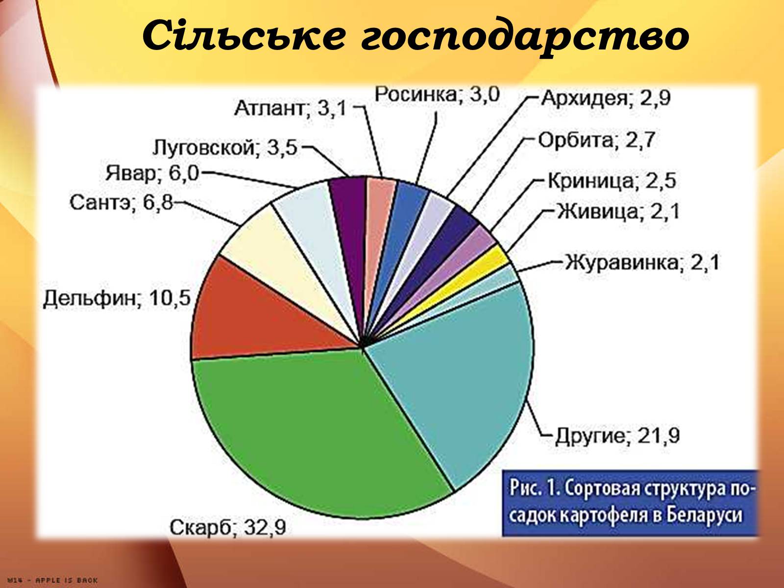 Презентація на тему «Республіка Білорусь» (варіант 3) - Слайд #21 Презентація на тему «Республіка Білорусь» (варіант 3) - Слайд #21