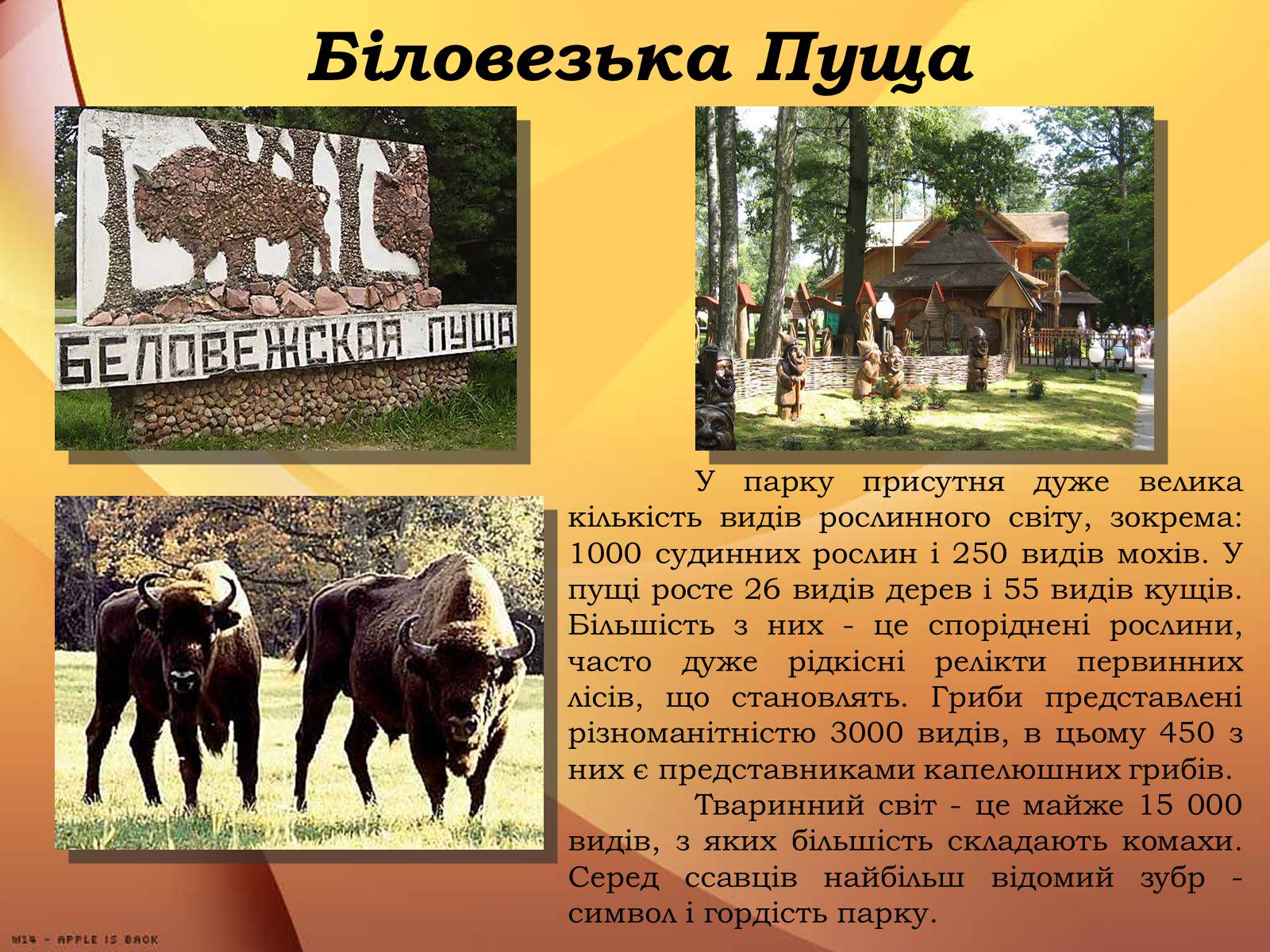 Презентація на тему «Республіка Білорусь» (варіант 3) - Слайд #9 Презентація на тему «Республіка Білорусь» (варіант 3) - Слайд #9