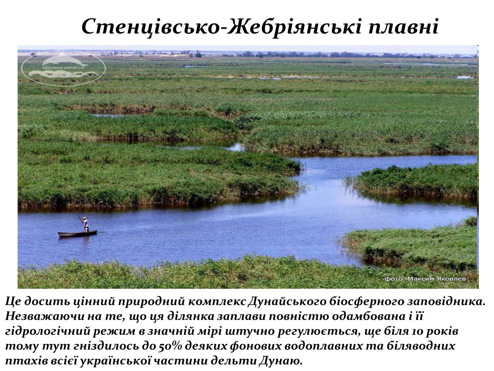 Презентація на тему «Екотуристичні регіони світу» - Слайд #5 Презентація на тему «Екотуристичні регіони світу» - Слайд #5