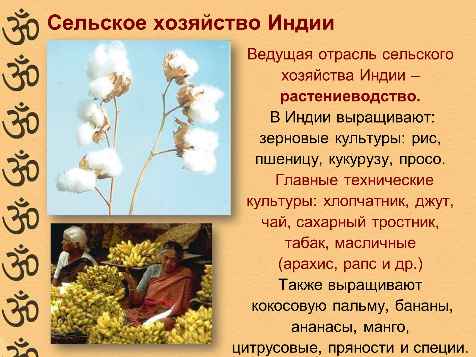 Презентація на тему «Характеристика Індії» (варіант 1) - Слайд #17 Презентація на тему «Характеристика Індії» (варіант 1) - Слайд #17