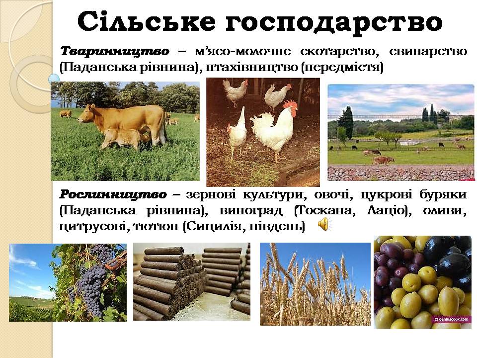Презентація на тему «Італія» (варіант 38) - Слайд #19 Презентація на тему «Італія» (варіант 38) - Слайд #19