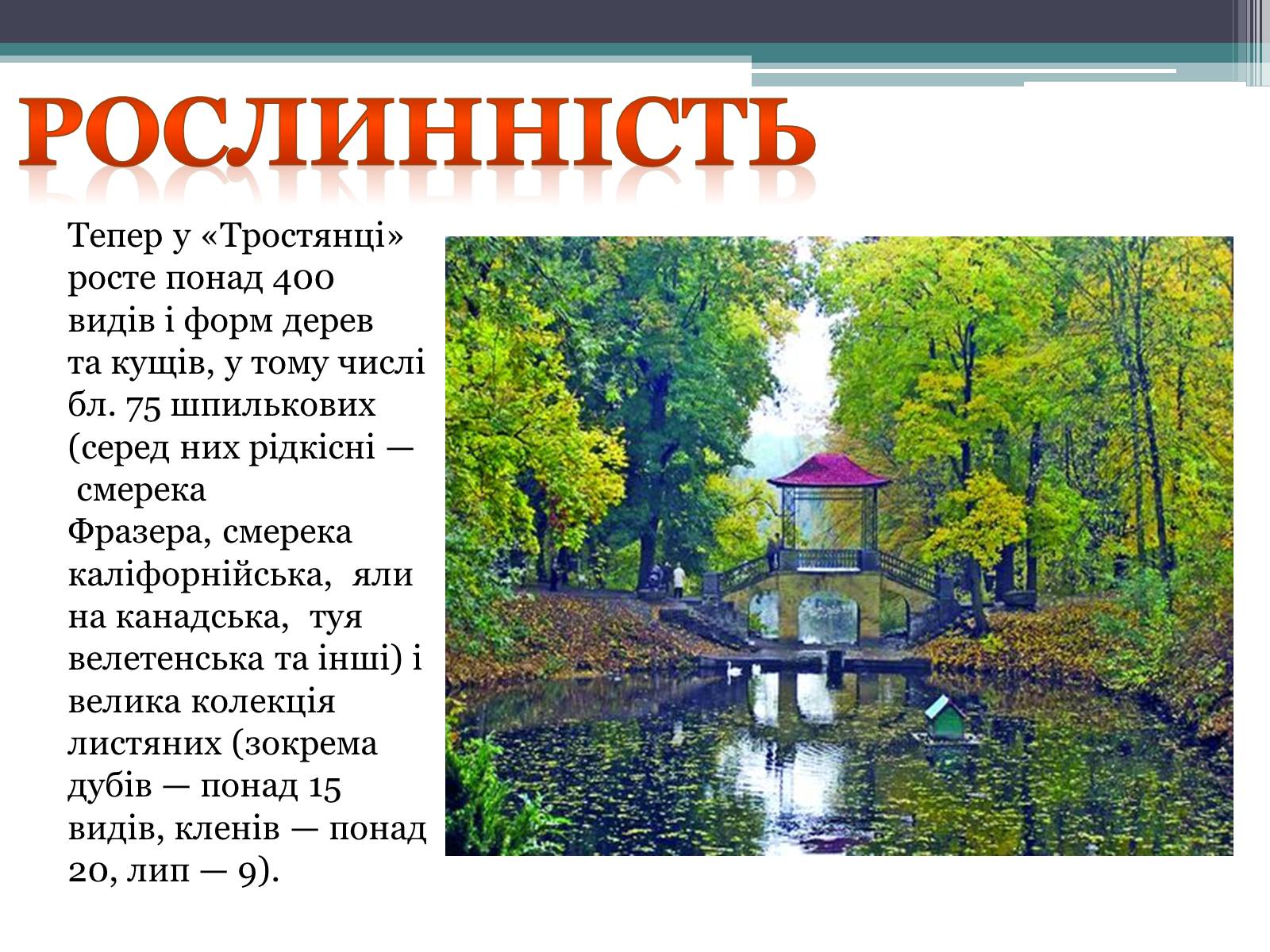 Презентація на тему «Тростянець» - Слайд #11 Презентація на тему «Тростянець» - Слайд #11