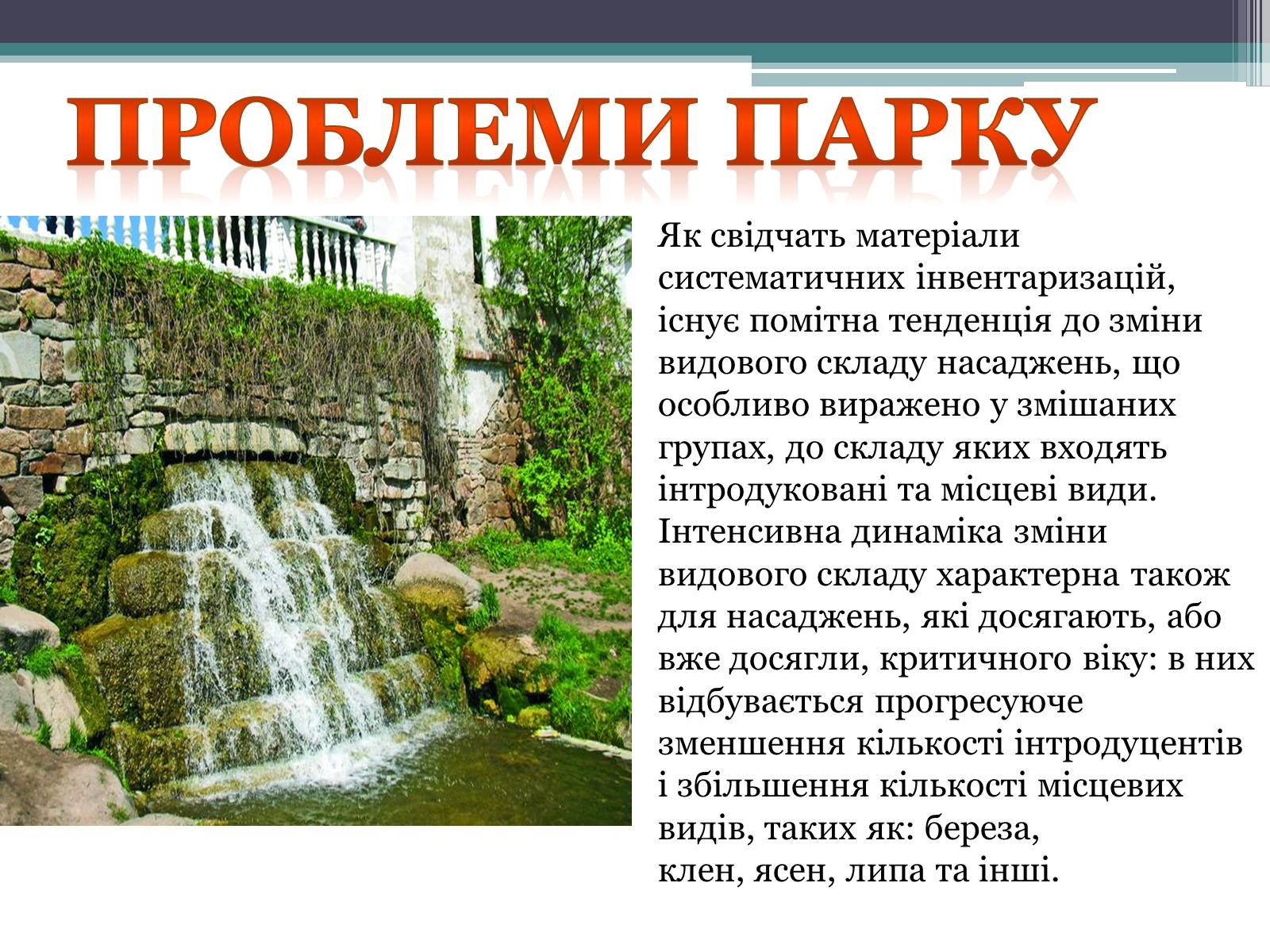 Презентація на тему «Тростянець» - Слайд #12 Презентація на тему «Тростянець» - Слайд #12