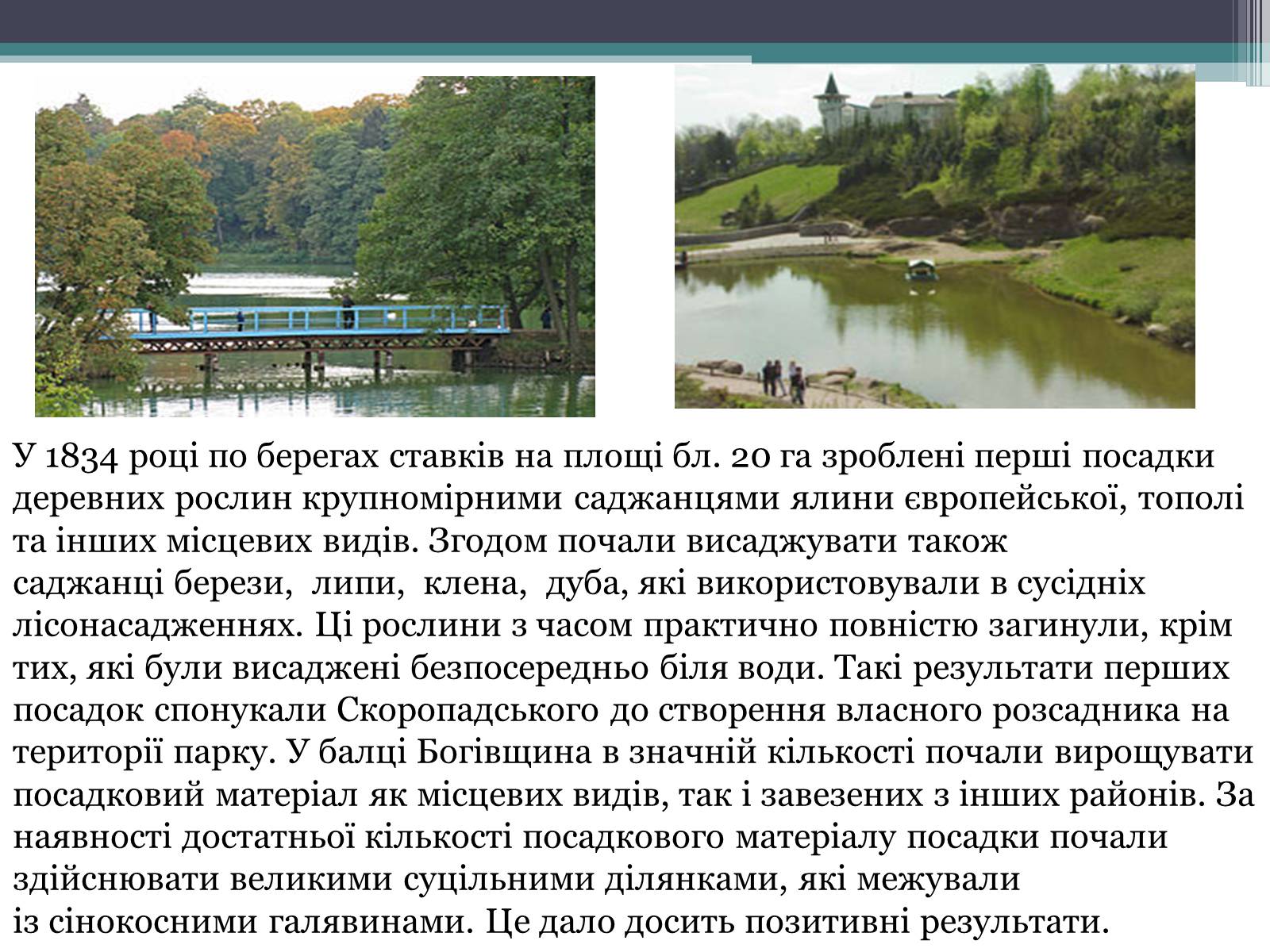 Презентація на тему «Тростянець» - Слайд #6 Презентація на тему «Тростянець» - Слайд #6