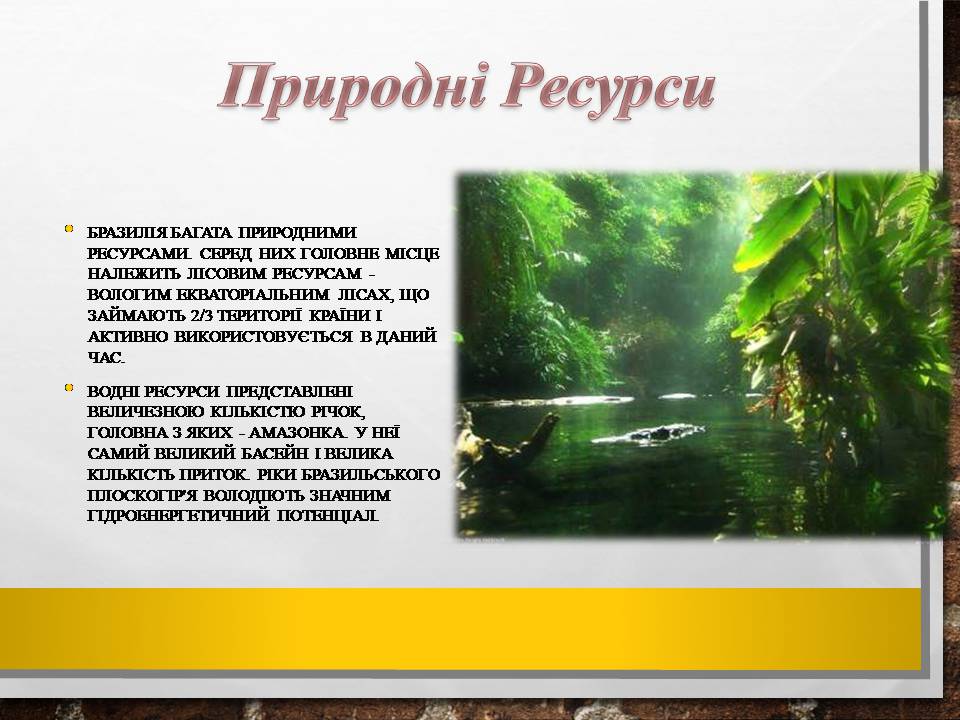 Презентація на тему «Бразилія» (варіант 19) - Слайд #7 Презентація на тему «Бразилія» (варіант 19) - Слайд #7