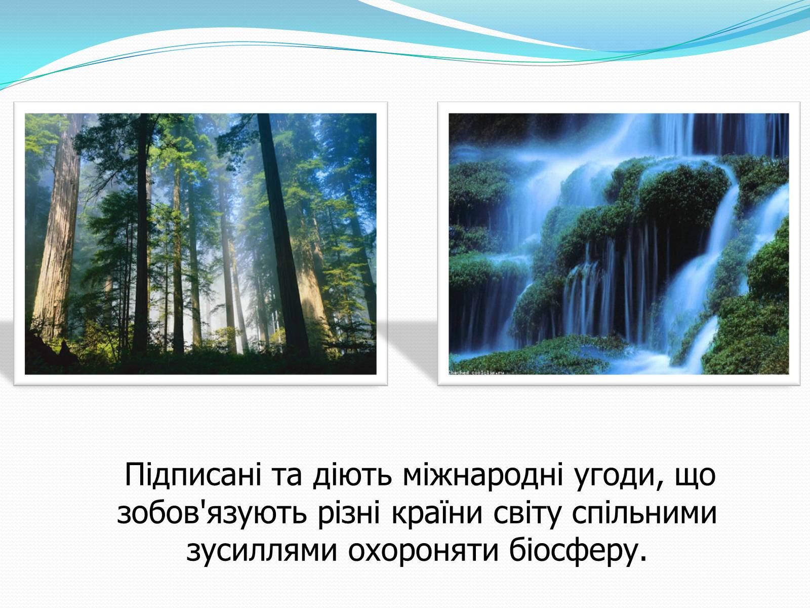 Презентація на тему «Людина і біосфера. Охорона біосфери» (варіант 2) - Слайд #4 Презентація на тему «Людина і біосфера. Охорона біосфери» (варіант 2) - Слайд #4