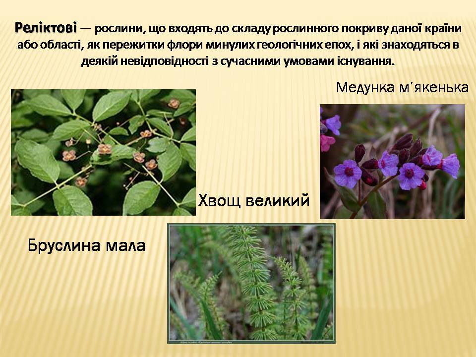 Презентація на тему «Екологічні проблеми Гранітно-степового Побужжя» - Слайд #11 Презентація на тему «Екологічні проблеми Гранітно-степового Побужжя» - Слайд #11