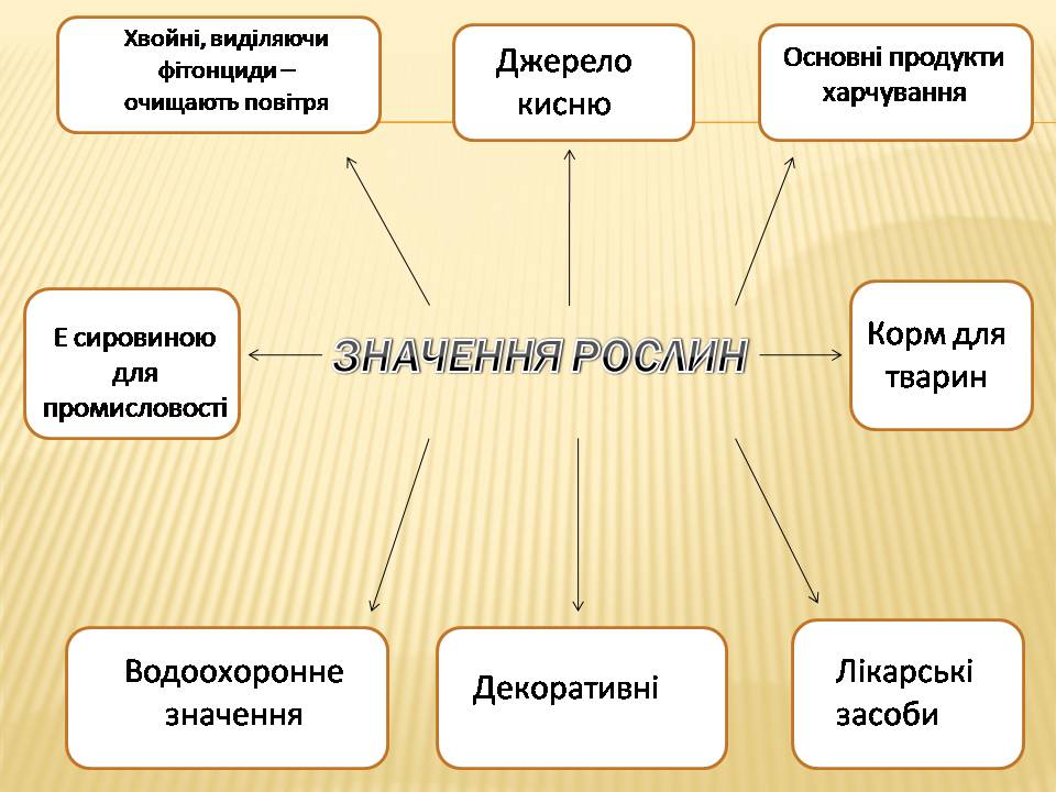 Презентація на тему «Екологічні проблеми Гранітно-степового Побужжя» - Слайд #25 Презентація на тему «Екологічні проблеми Гранітно-степового Побужжя» - Слайд #25